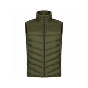 Idaho Vest